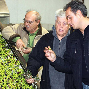 ZEIT-Sonderedition »Olivenöl«