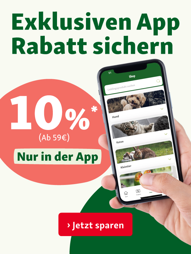 Jetzt App downloaden und Rabatt sichern