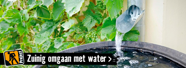 Zuinig omgaan met water in de tuin | HORNBACH