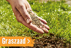 Graszaad | HORNBACH