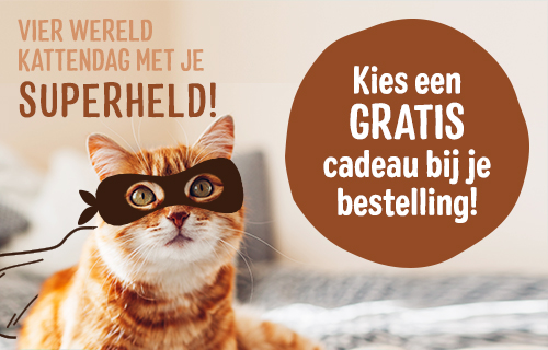 Vier Wereld Kattendag!