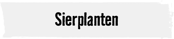 Sierplanten | HORNBACH