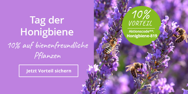 Tag der Honigbiene