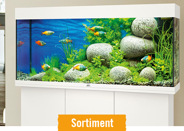 Aquarien im HORNBACH Onlineshop