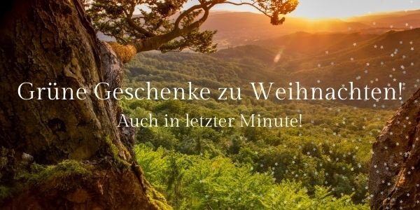 Verschenken Sie unsere Grünen Geschenke zum Weihnachtsfest!