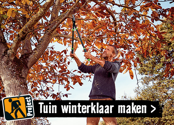 Tuin winterklaar maken | HORNBACH