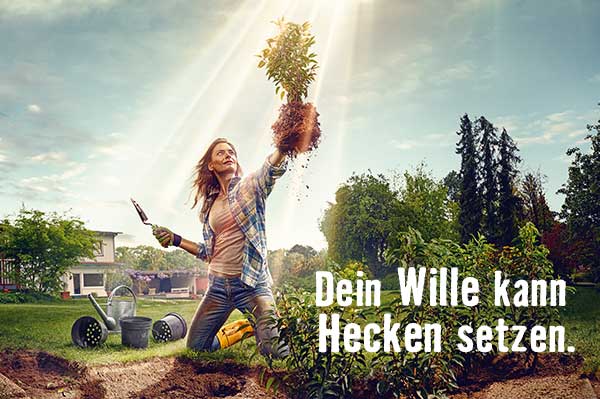 HORNBACH Ratgeber Hecken und Sträucher pflanzen