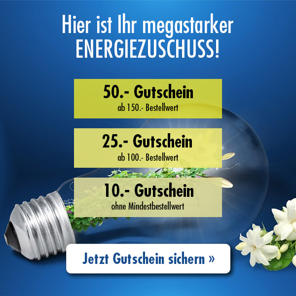 Jetzt Ihren Energiezuschuss bis 50.- sichern!