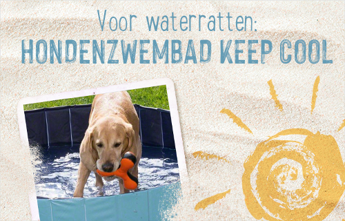 Voor de waterratten: hondenzwembad keep cool