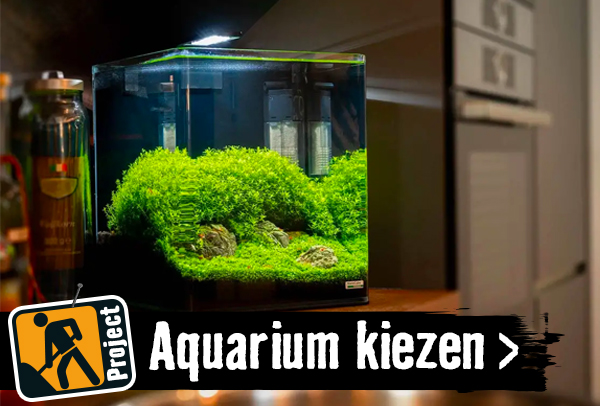 Aquarium kiezen | HORNBACH