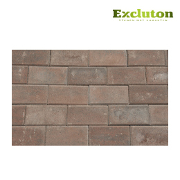 EXCLUTON Betonklinker rood genuanceerd met deklaag 21 x 10,5 x 8 cm | HORNBACH