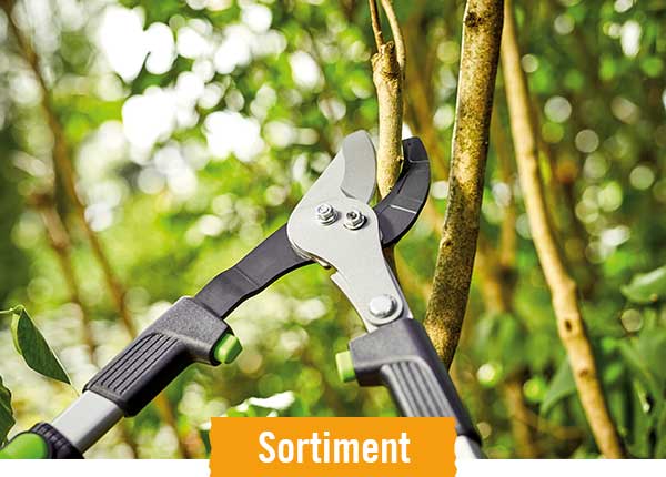 Astscheren im HORNBACH Onlineshop