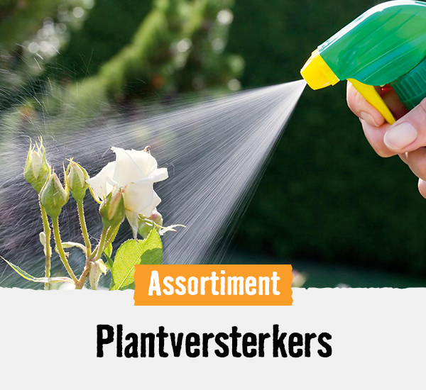 Plantversterkers | HORNBACH