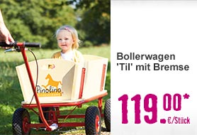 Bollerwagen 'Til' mit Bremse