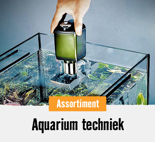 Aquarium techniek | HORNBACH