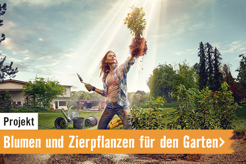 Projekt: Blumen und Zierpflanzen für den Garten