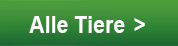 Alle Tiere
