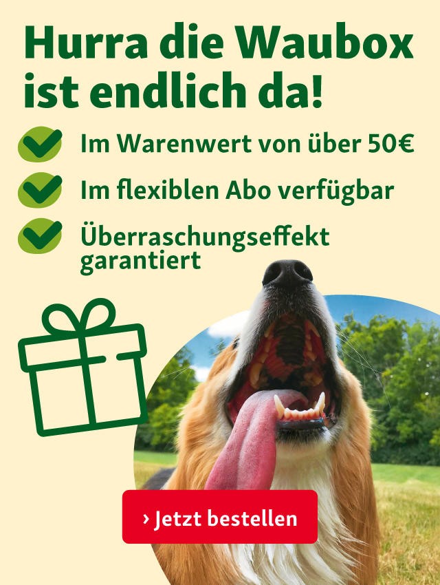 Sichere dir deine Waubox!