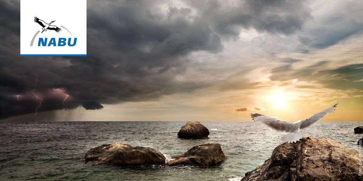 Gewitter - Foto: givagaphotos