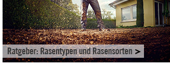 Ratgeber: Rasentypen und Rasensorten