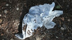 Ab 2020 sollen Plastiktüten in Österreich verboten werden. © Sean Gallup/Getty Images