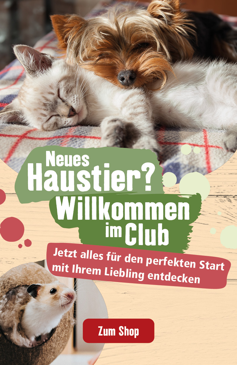 Neues Haustier? Willkommen im Club!