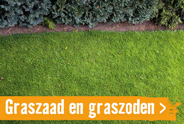 Graszoden, graszaad en kunstgras | HORNBACH