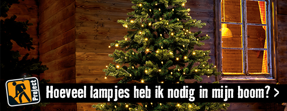 Hoeveel lampjes heb ik nodig voor mijn voor mijn kerstboom? | HORNBACH