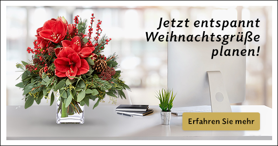 Weihnachten Landingpage