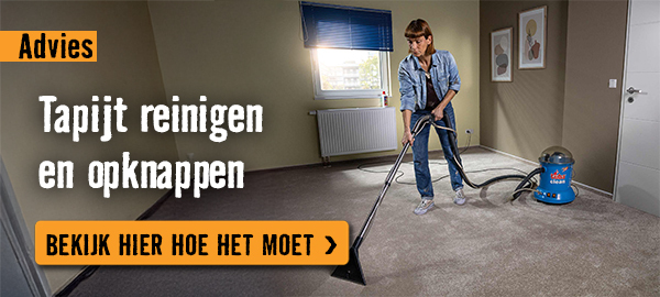 Tapijt reinigen en opknappen | HORNBACH