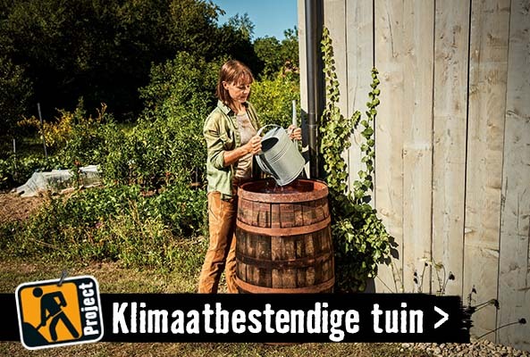 Droogte in de tuin | HORNBACH
