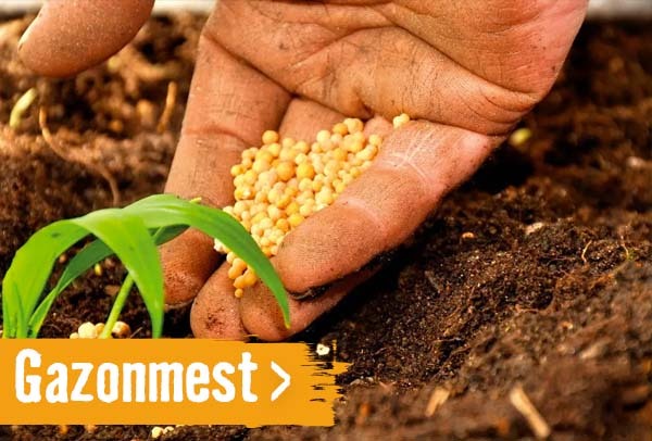 gazonmest | HORNBACH