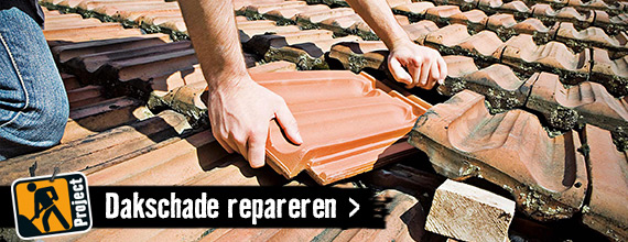 Dakschade repareren | HORNBACH