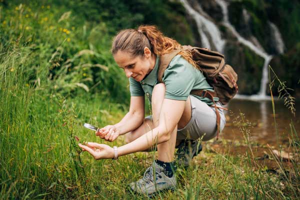 Was lebt denn da? Foto: South_agency / iStock.com