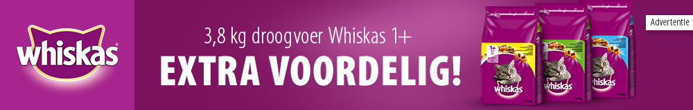 Extra voordelig! 3,8 kg Whiskas 1+