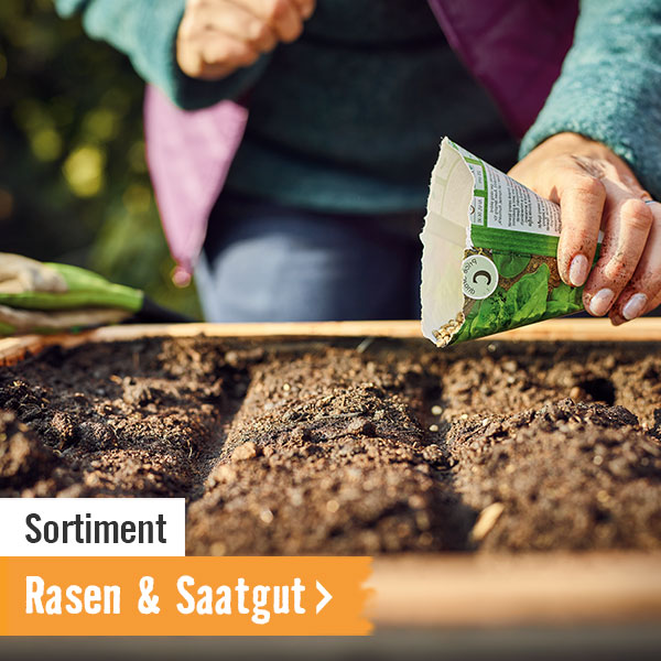 Rasen & Saatgut im HORNBACH Onlineshop