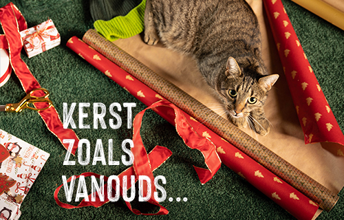Kerst zoals vanouds...
