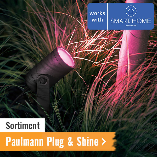 Sortiment Paulmann Plug & Shine