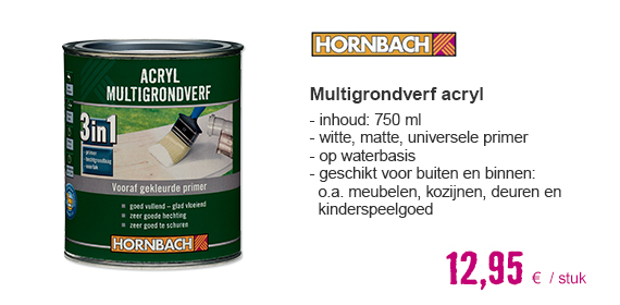 HORNBACH Multigrondverf acryl wit 750 ml | HORNBACH