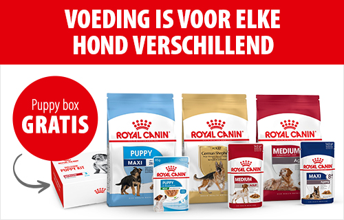 Royal Canin voeding is voor elke hond verschillend!