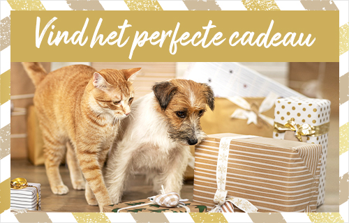 Vind het perfecte cadeau!