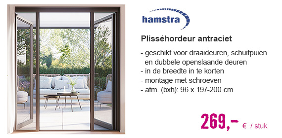 HAMSTRA Plisséhordeur B antraciet 96x197-200 cm | HORNBACH