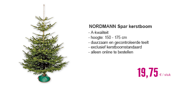 NORDMANN Kerstboom: Echte en luxe Nordmann A-kwaliteit, gezaagd, 150 – 175 cm | HORNBACH