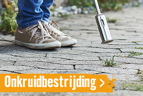 Bestrijding onkruid | HORNBACH 