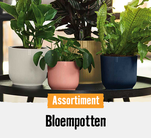 Bloempotten | HORNBACH
