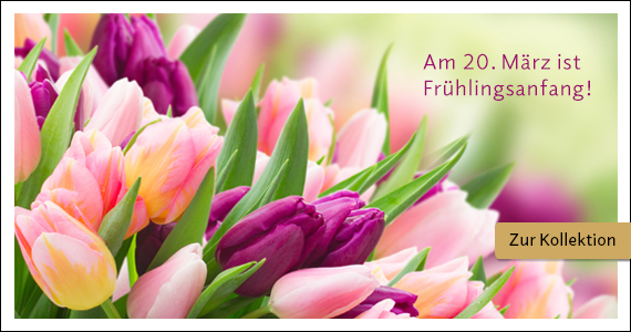 Amaryllis