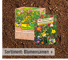 Sortiment: Blumensamen