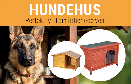 Hundehus