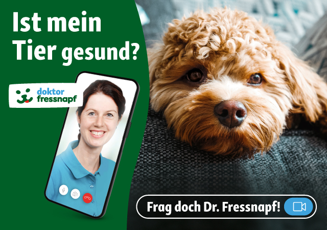 Frag doch Dr. Fressnapf 