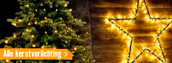 Alle kerstverlichting | HORNBACH